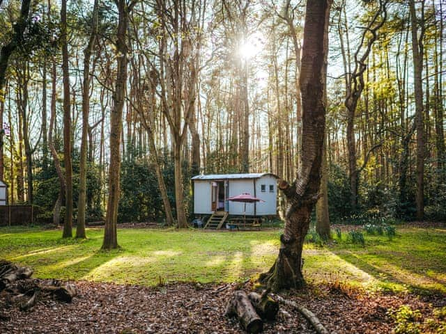 Goosewing Hut - Rosslyn Glamping, Melton Constable