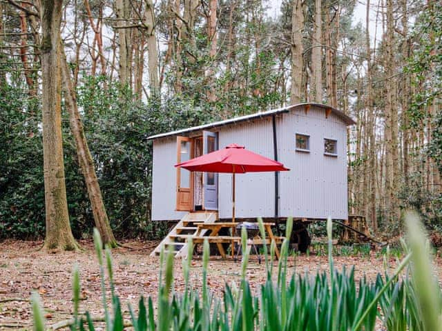 Goosewing Hut - Rosslyn Glamping, Melton Constable