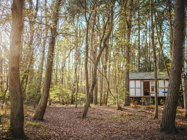 Jacob&rsquo;s Folly - Rosslyn Glamping, Melton Constable