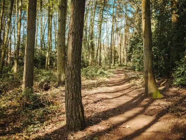 Jacob&rsquo;s Folly - Rosslyn Glamping, Melton Constable