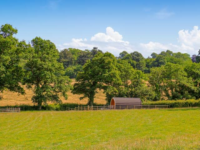 Barley Hill Pod, Somerset