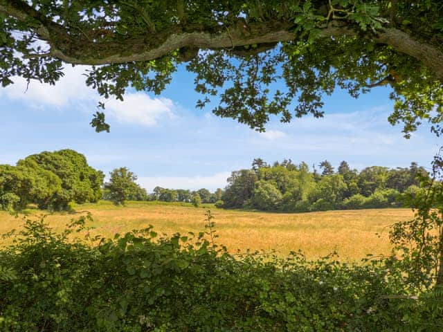 Barley Hill Pod, Somerset