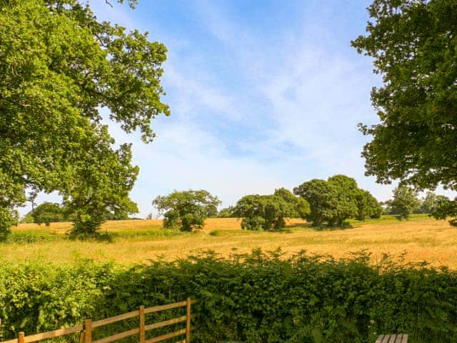 Barley Hill Pod, Somerset