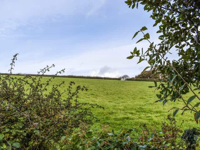 View | Field View, Polgooth