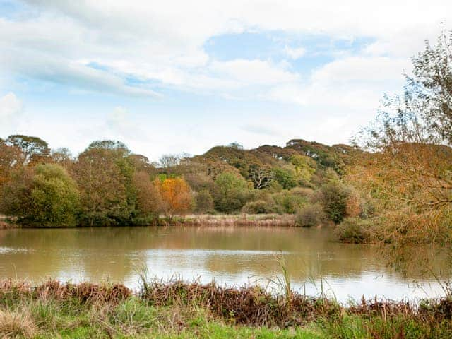 Surrounding area | Hernmargh Skiber, Langford Hele, near Marhamchurch