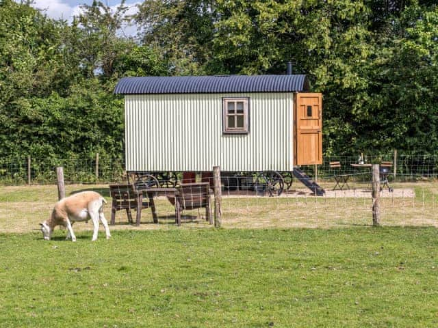 Buttercup Hut, Chiddingly