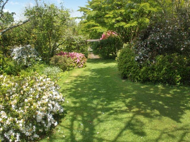 Patio | Garden Studio, Little Polgooth, near St Austell