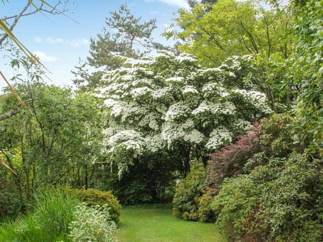 Patio | Garden Studio, Little Polgooth, near St Austell