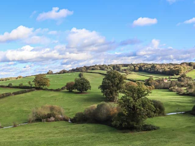 Surrounding area | Cobblers Cottage, Petworth, near Arundel