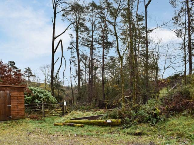 Setting | Beeches, Windermere