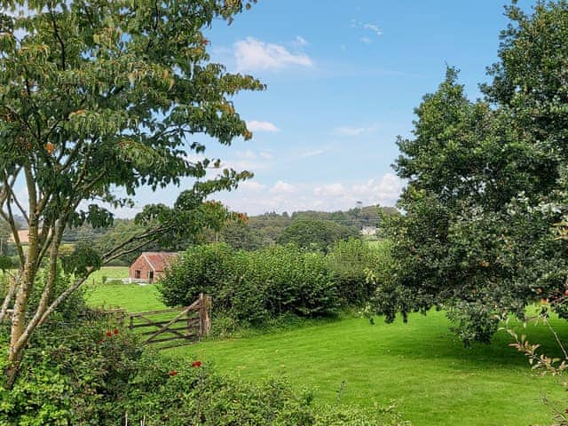 Surrounding area | Little Forda, Chillaton, near Tavistock