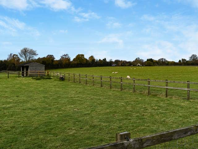 Garden | Chapel Farm, Stelling Minnis, near Canterbury