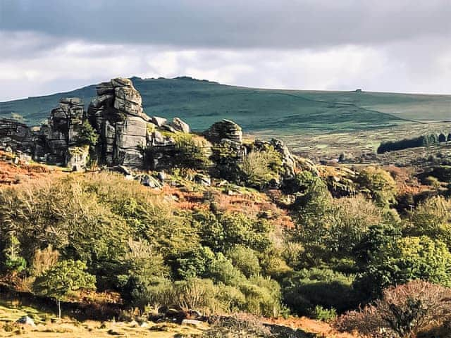 Dartmoor Tors | Hollyhock, Tavistock