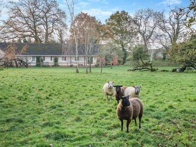 Garden and grounds | Paddock Barn, Lower Wick, Dursley