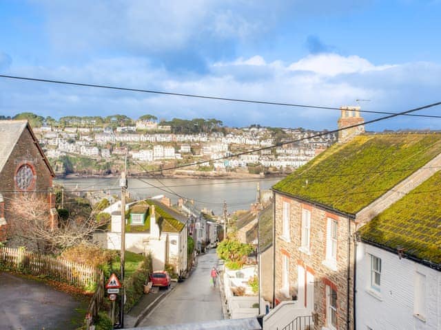 View | Tean, Fowey