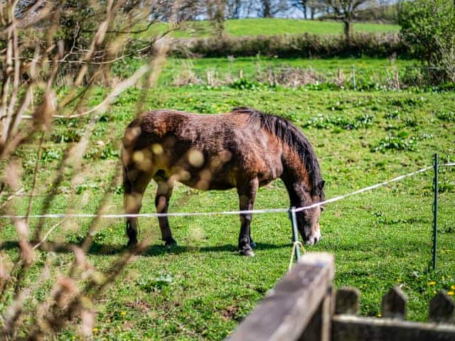 Surrounding area | Gore Cottage, West Milton, Bridport