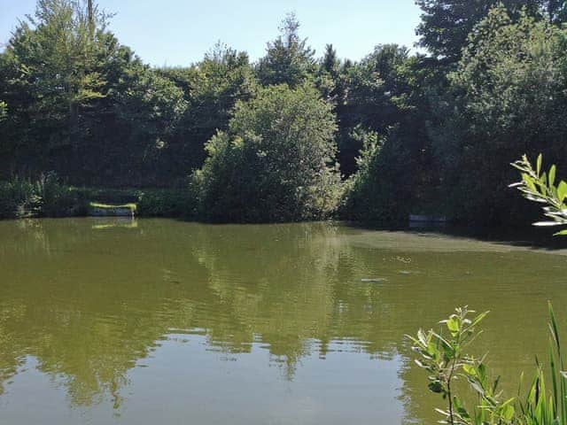 Surrounding area | Beeches Shepherd Hut, Harleston