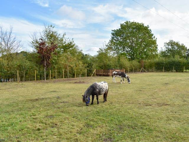 Surrounding area | Beeches Cart Lodge, Harleston