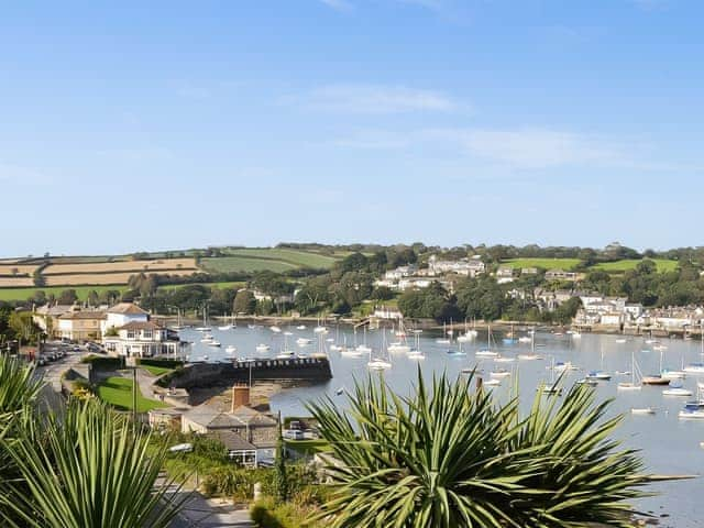 Surrounding area | Oak, Falmouth