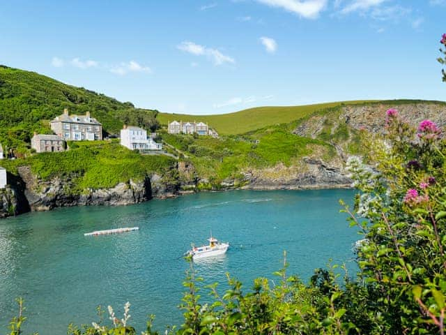 Surrounding area | Hillside, Port Isaac