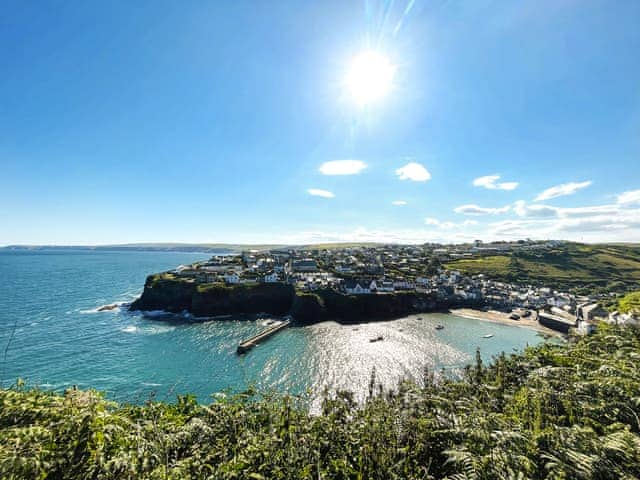 Surrounding area | Hillside, Port Isaac