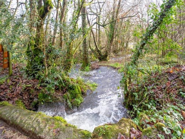 Surrounding area | Bulls Cottage, Bodmin