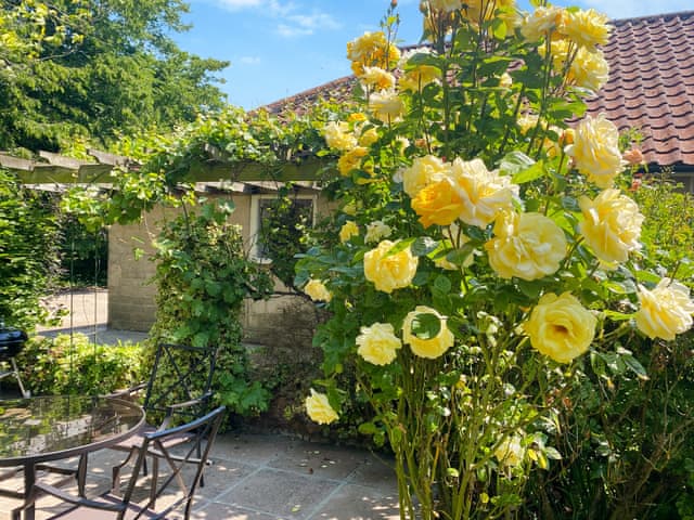 Sitting-out-area | The Cottage, Fressingfield