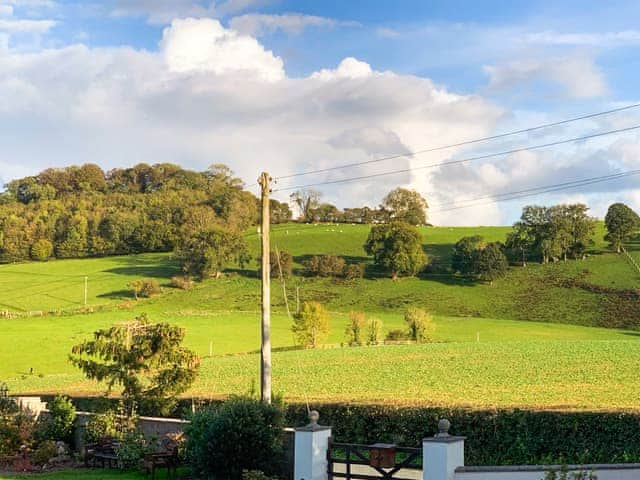 View | The Lantern Tree, Kingsteignton