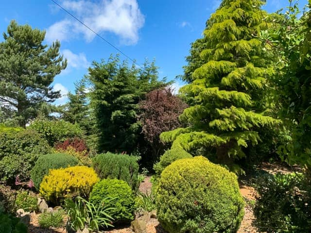 Garden | South Farm Cottage, Wallhouses near Corbridge