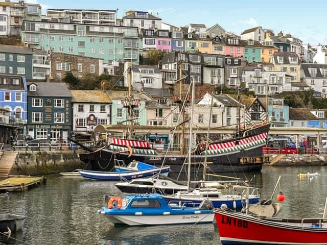 Surrounding area | Avocet 1 - The Cove, Brixham