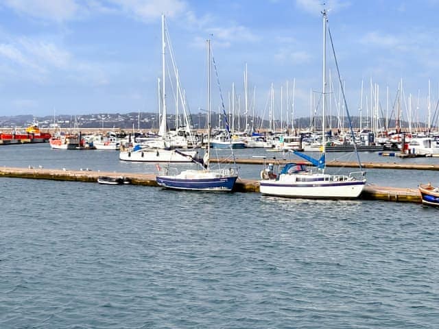 Surrounding area | Avocet 1 - The Cove, Brixham