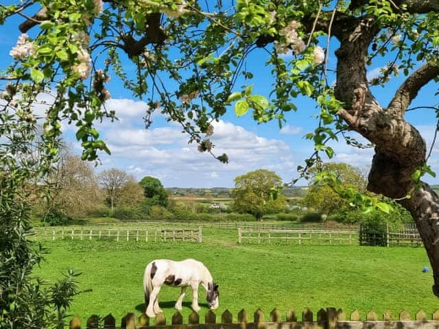 Surrounding area | Wheelwright&rsquo;s Cottage, Rodsley, near Ashbourne