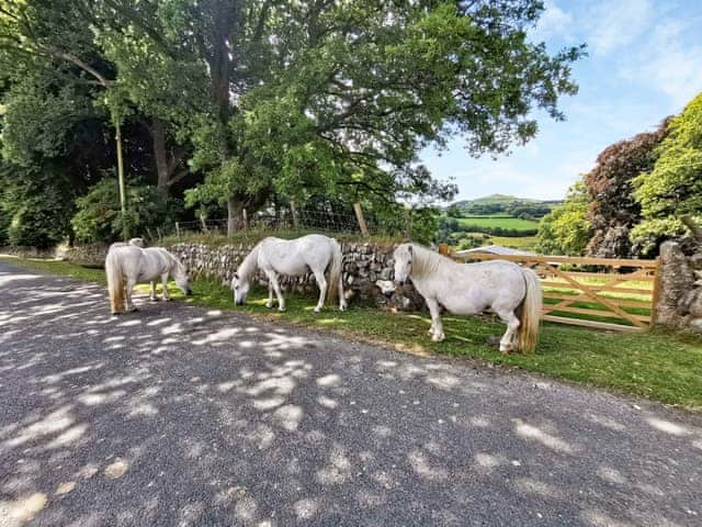 Surrounding area | Chapel View, Brentor, near Tavistock