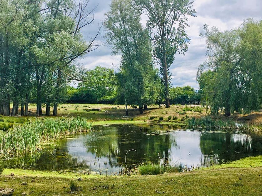 Surrounding area | Cedar Lodge - Broad View Farm, Blacknest, near Alton