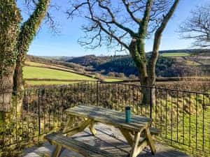 View | The Platt, Rezare, near Launceston