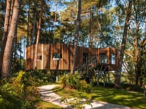 Sambucus - Treehouses, Chipping Norton