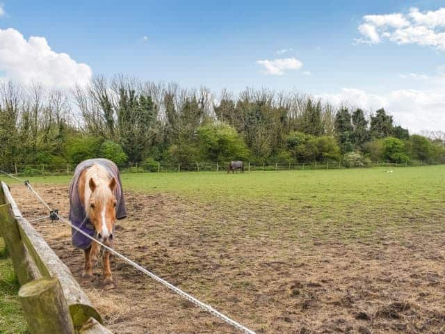 Outdoor area | The Hayloft - Reach Court Cottages, St. Margaret&rsquo;s, near Dover