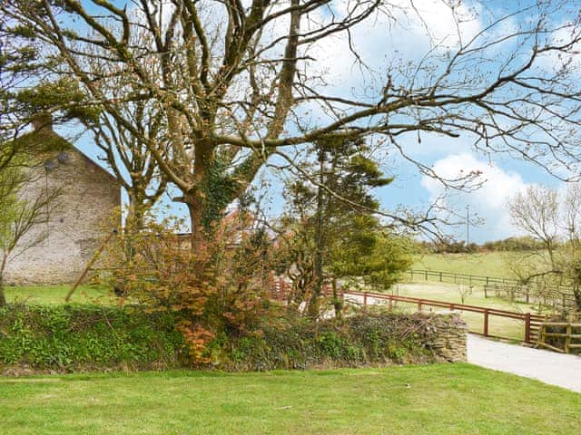 Outdoor area | Butterfly Annexe - Butterfly Farm, Ilfracombe