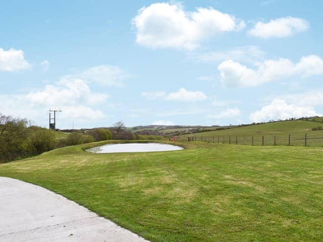 Outdoor area | Butterfly Annexe - Butterfly Farm, Ilfracombe