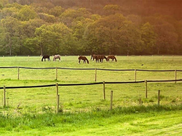 Surrounding area | Wysteria, North Lodge, Rusper, near Horsham