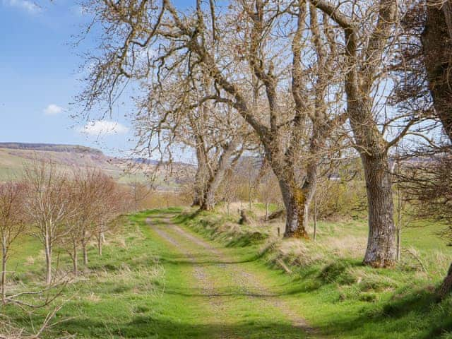 Outdoor area | The Haining, Elsdon