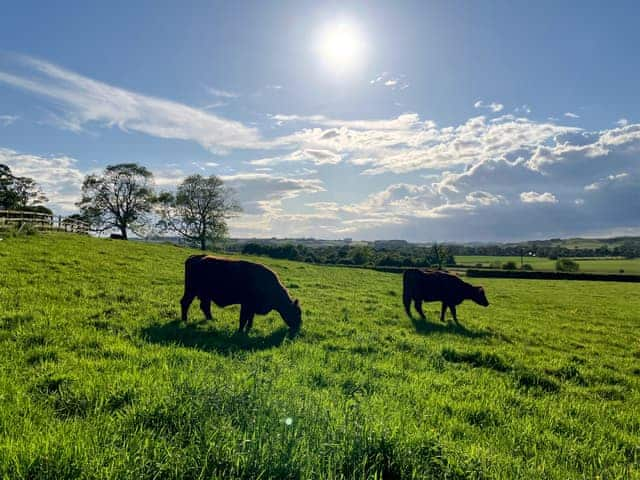 Surrounding area | Belton Cottage - Highlander Farm, Tetford, near Horncastle