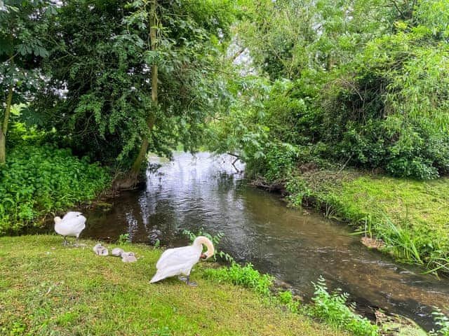 Surrounding area | Island Lodge, Little Baddow, near Chelmsford