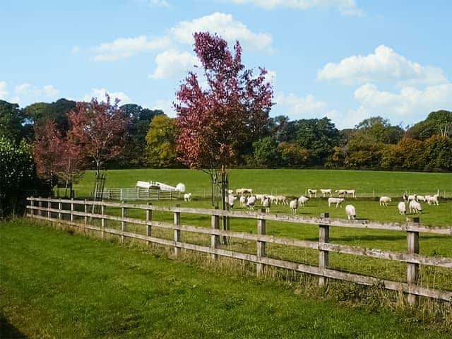 Surrounding area | Oaklands Farm- Cottage 1 - Oaklands Farm, East Tytherley