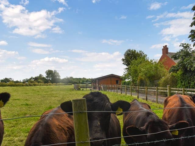 View | Chestnut Lodge, Pilling, near Blackpool