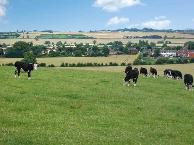 Surrounding area | The Stables - Donative Holiday Cottages, Warton, near Tamworth