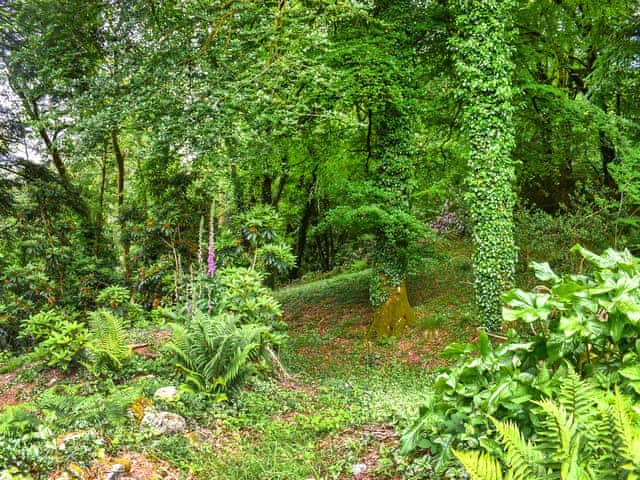 Garden and grounds | Ingo Brake Retreat, Okehampton