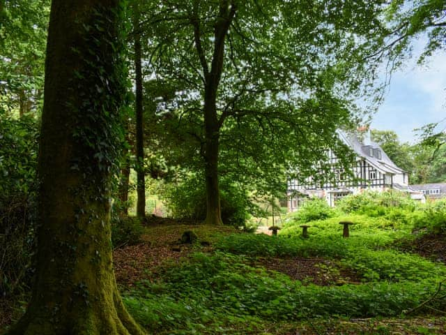 Garden and grounds | Ingo Brake Retreat, Okehampton