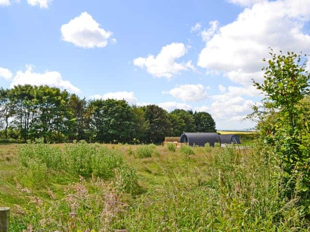 Exterior | Beech - Graffitoe Farm Holidays, Hunmanby