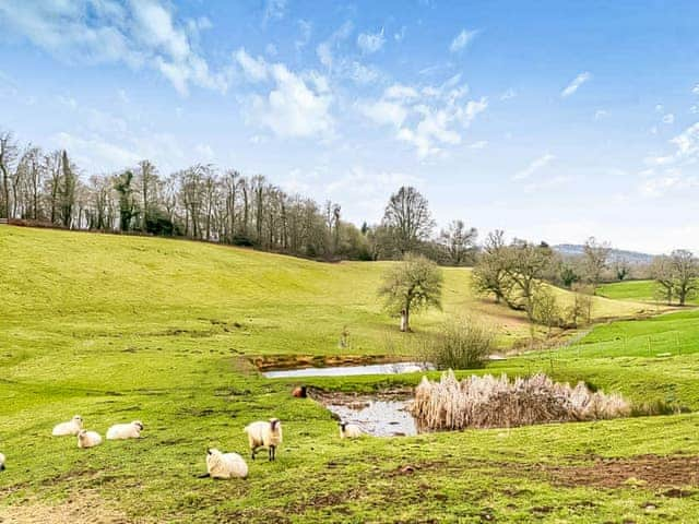 Surrounding area | Stable Cottage - Hole Farm, Alderbury, near Salisbury